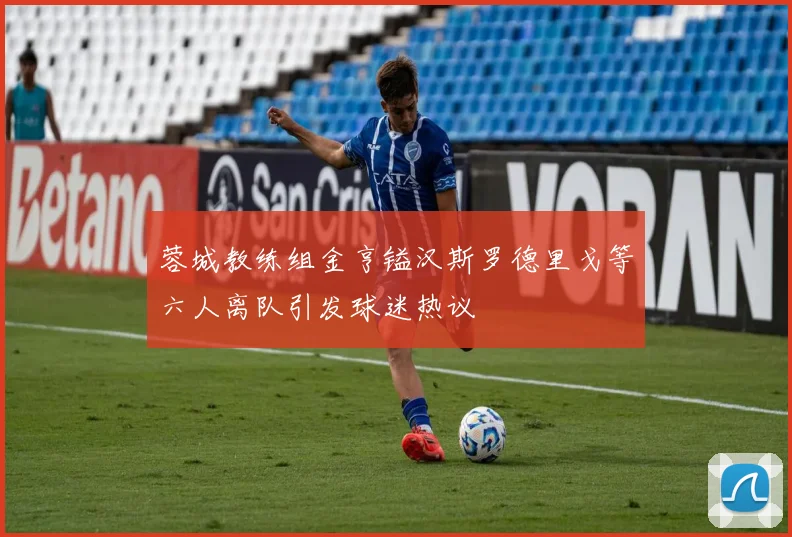 蓉城教练组金亨镒汉斯罗德里戈等六人离队引发球迷热议